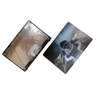 Крышка матрицы, back cover, 012-000A-3030-A для Sony VPC-EB