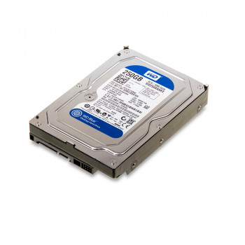 Винчестер SATA 250Gb WD Caviar Blue WD2500AAKX-75U6AA0