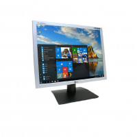 Монитор 19" LG L1919S