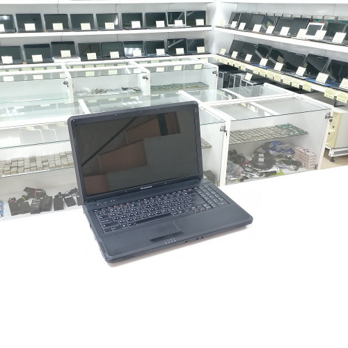 Ноутбук Lenovo IdeaPad G550 (59026774)