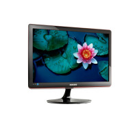 Монитор 18,5" Samsung S19B370