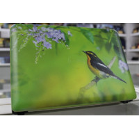 б/у Ноутбук Dell Inspiron Mini 1012-0868