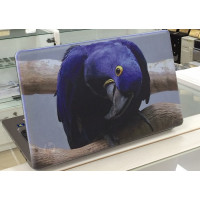 б/у ноутбук HP G62-b75SR (XU610EA)