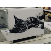 б/у Ноутбук Lenovo IdeaPad Y330 (59015631)