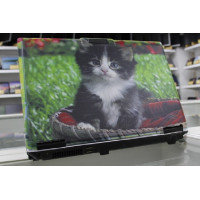б/у Ноутбук Asus M51SE (90NK9A9291236AMC106Y)