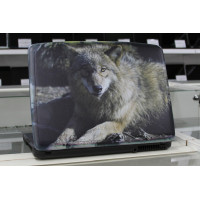 б/у Ноутбук eMachines E510-301G16Mi (LX.N030C.008)