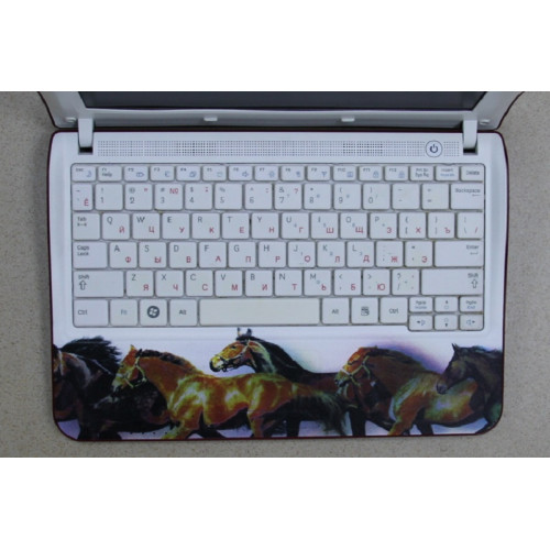 Нетбук Samsung NF210-A01