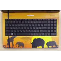 б/у Ноутбук eMachines E630-302G25Mikk (LX.N890C.002)